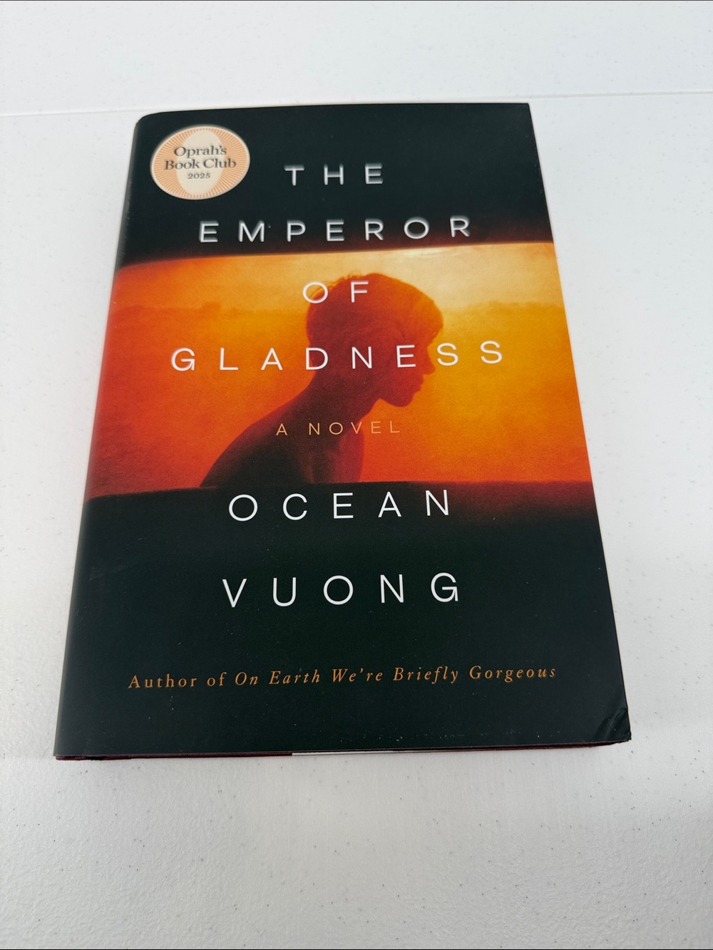 The Emperor of Gladness  Ocean Vuong New
